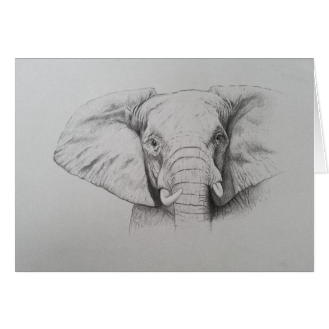 Elefante 2011 (Anverso (Horizontal))