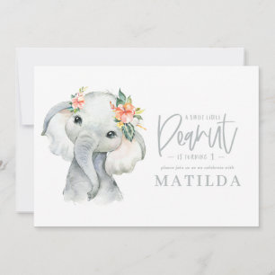 Elefante acuático fiesta de cumpleaños de niñita