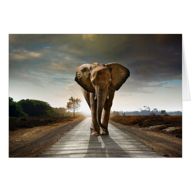 Elefante africano (Anverso (Horizontal))