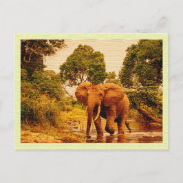 Elefante Africano de Postales Vintage