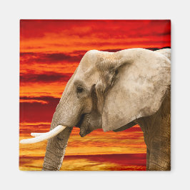 Elefante africano - imán frigorífico