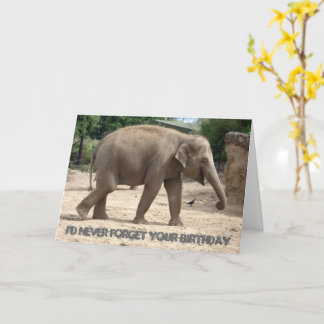 Elefante Asiático Caminando Por La Tarjeta De Cump
