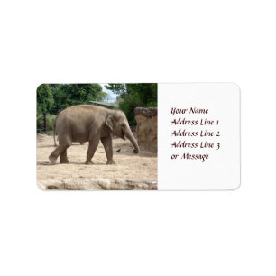 Elefante asiático que camina en etiqueta adhesiva