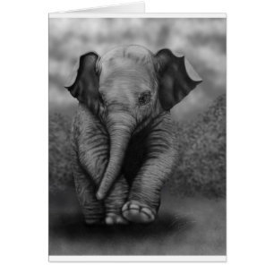 Elefante bebé