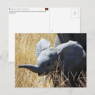 Elefante bebé en Masai Mara, Kenia Tarjeta postal 