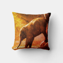 Elefante bebé junto a la almohada de agua