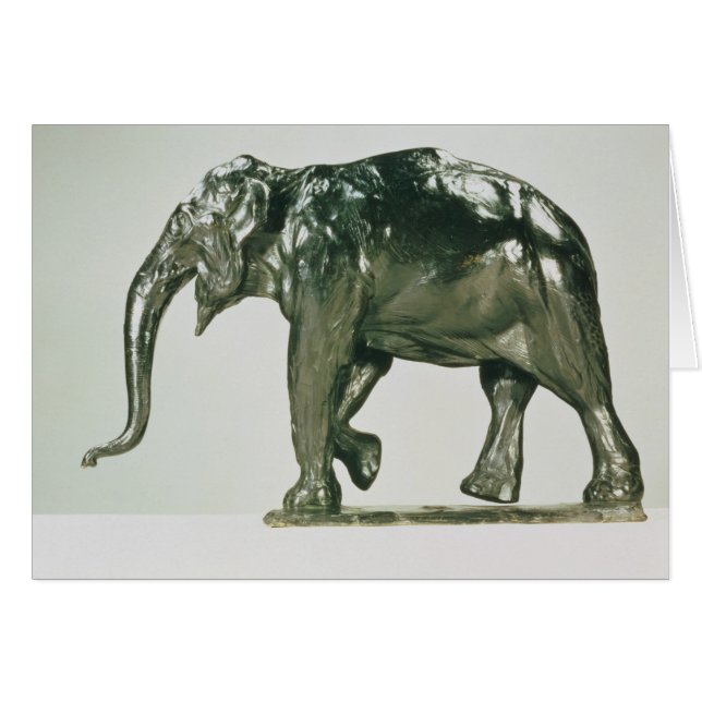 Elefante blanco (Anverso (Horizontal))