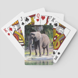 Elefante - Cartas para jugar en bicicleta