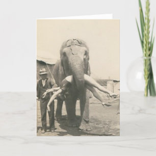 elefante con el chica en tarjeta de felicitación