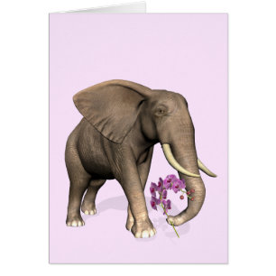 Elefante Con Orquídea Rosa