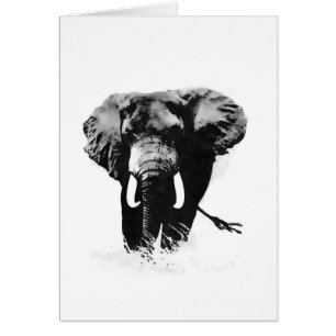 Elefante de B&W