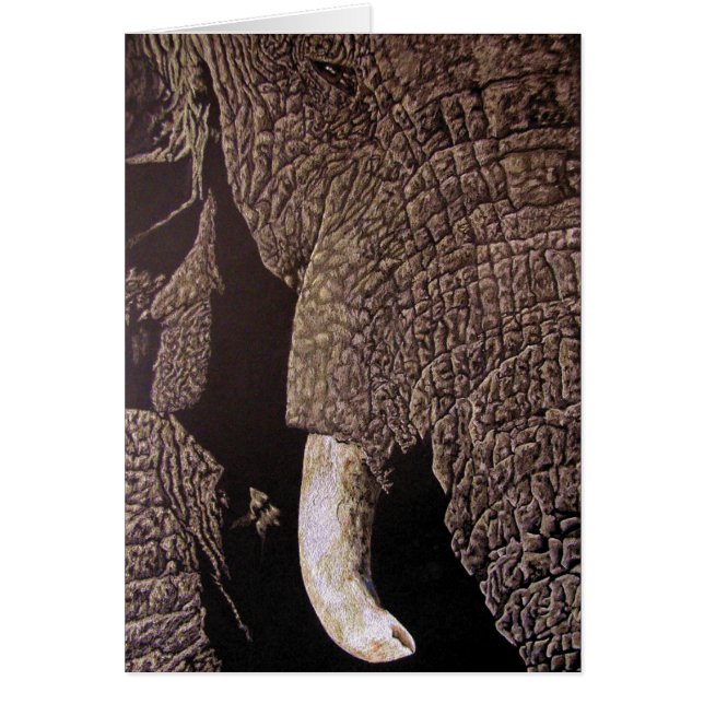 Elefante de toro (Frente)