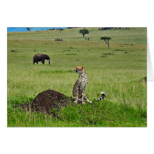 Elefante del guepardo