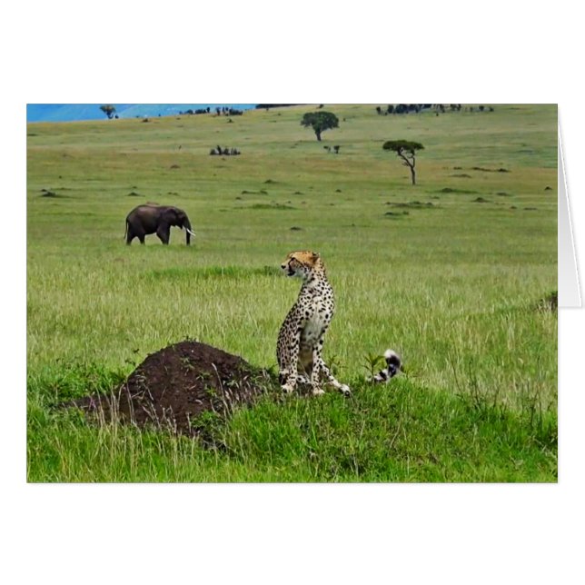 Elefante del guepardo (Anverso (Horizontal))