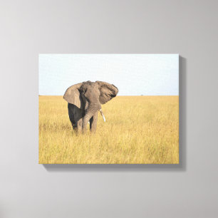 Elefante en el entorno natural impresión de lienzo