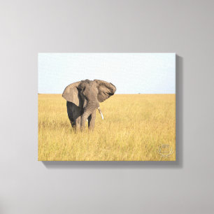 Elefante en el entorno natural impresión de lienzo