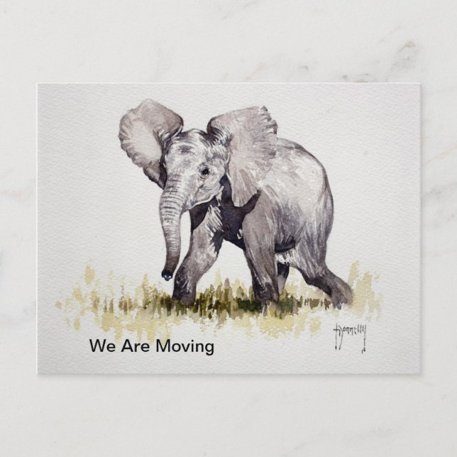 Elefante joven que estamos moviendo tarjeta postal (Anverso)