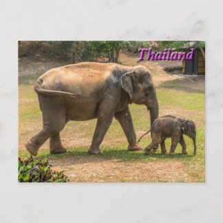 Elefante madre e bebé, postal de Tailandia