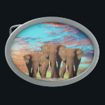 Elefante Opal Sunrise, hebilla de cinturón<br><div class="desc">Fotografiados en un glorioso amanecer opal son tres elefantes</div>