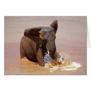 Elefante que juega con agua