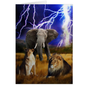 Elefante Suráfrica de los leones