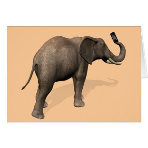 Elefante tomando un selfie