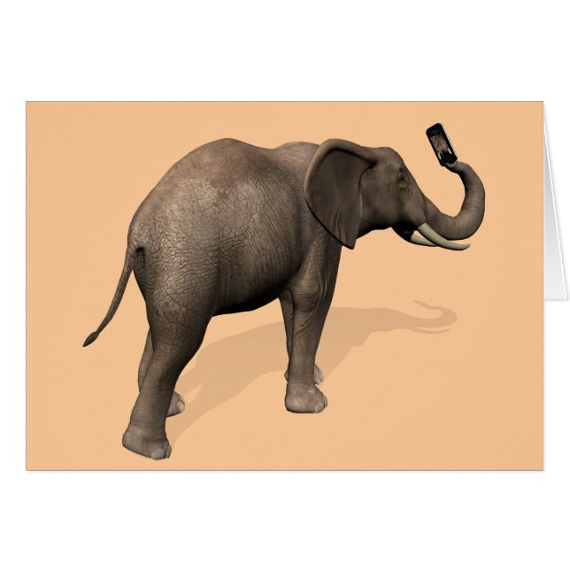 Elefante tomando un selfie (Anverso (Horizontal))