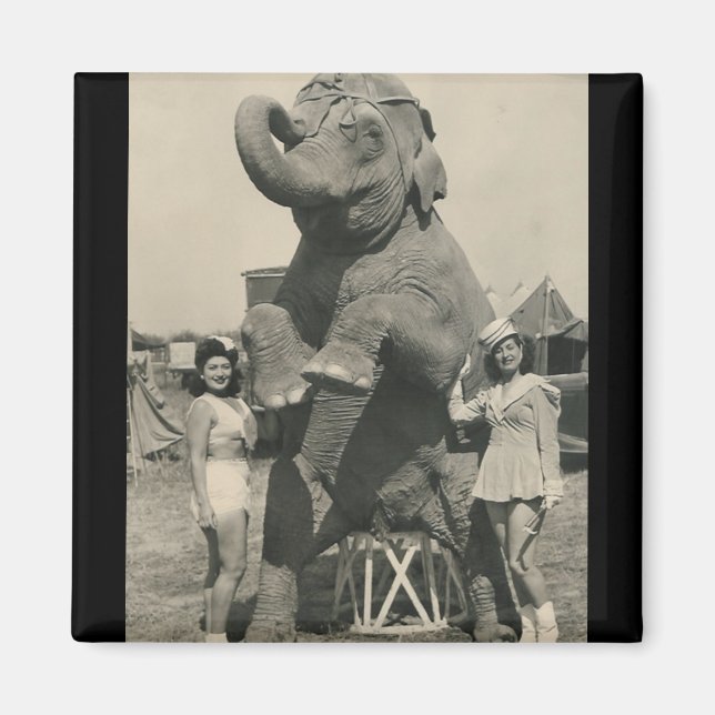 elefante y 2 imán de circo de chicas (Frente)