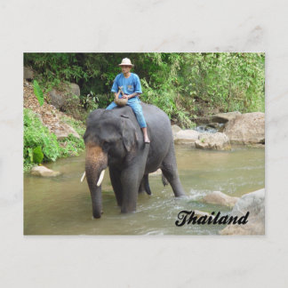 Elefante y Mahout postal de Chiang Mai, Tailandia