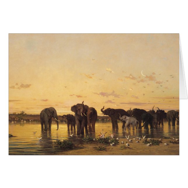 Elefantes africanos (Anverso (Horizontal))