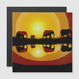 Elefantes africanos de atardecer