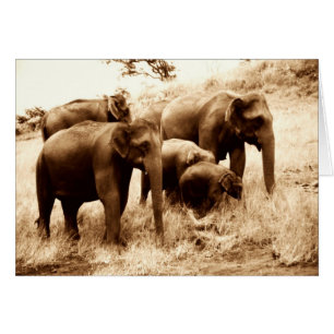 elefantes de la India sepia