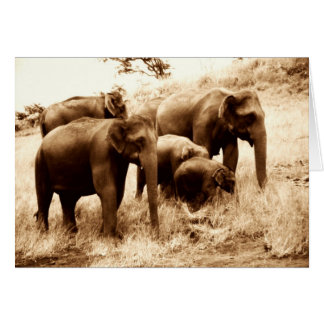 elefantes de la India sepia