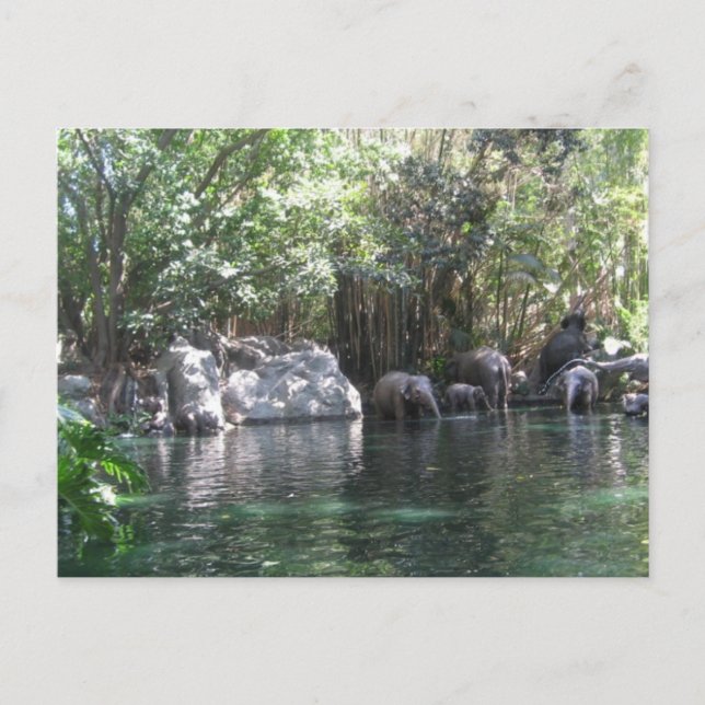 Elefantes jugando a la postal (Anverso)