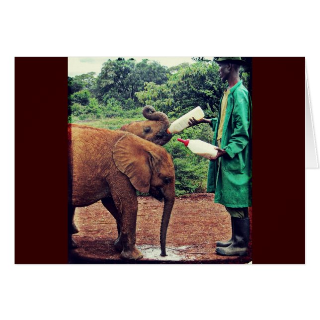 Elefantes para Bebés - Tiempo de alimentación (Anverso (Horizontal))