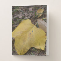 Elegancia de la carpeta de bolsillo del otoño