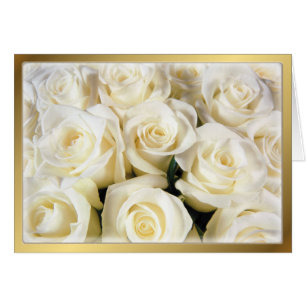 Elegancia de rosa blanca