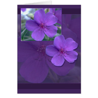 Elegancia floral púrpura