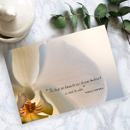 Elegancia orquídea Gracias por tu nota de simpatía