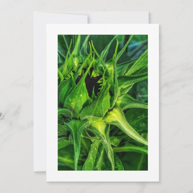 Elegancia verde: invitación Personalizado (Anverso)