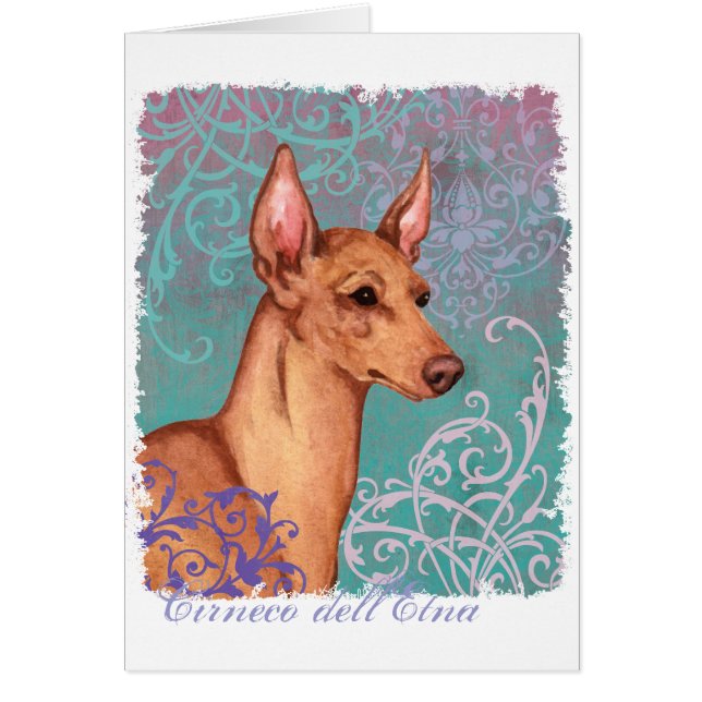 Elegant Cirneco dell'Etna Card (Frente)