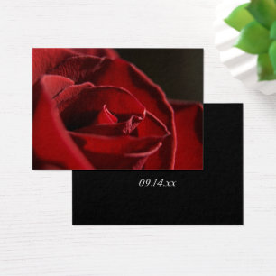 Elegant Red Rose Thank You Wedding Favor Tags