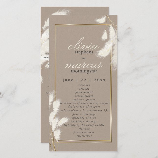 Elegante Abby de hierba de marfil de pampas1 (Anverso / Reverso)