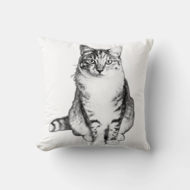 Elegante almohada delantera con tabiques de tinta  (Anverso)