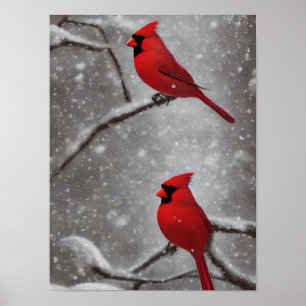 Elegante arte de aves del cardenal rojo