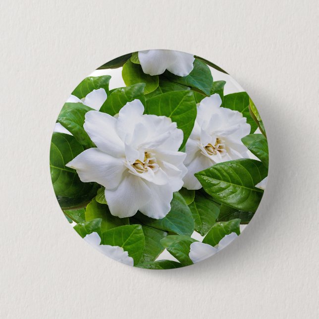 : "Elegante botón de Flores de Gardenia Blanca (Anverso)