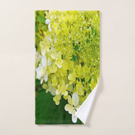 Elegante Chartreuse Green Limelight Hydrangea