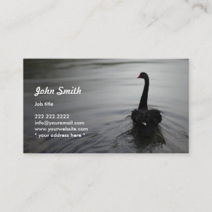 Elegante cisne negro nadando en una tarjeta de per