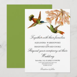 Elegante colibrí Lily Sage Green Boda