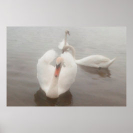 Elegante Colores De Agua Modernos Cisnes De Arte E